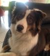 Portrait de Pascal